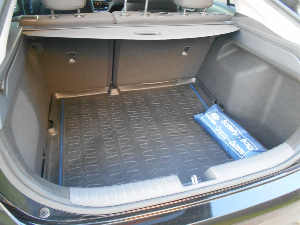 Accessible Rent - Hyundai IONIQ Hybrid, hands control car