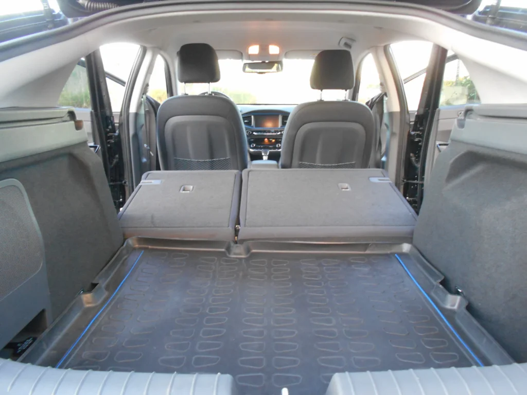 Accessible Rent - Hyundai IONIQ Hybrid, hands control car